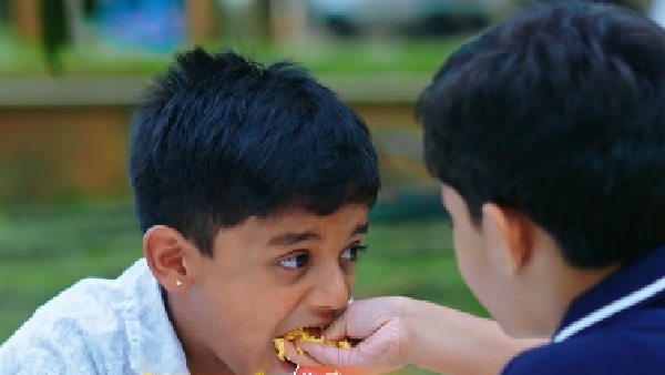 Lakshmi Niwas Serial