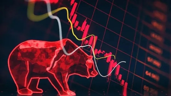 LIC Shares