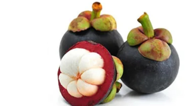 Mangosteen