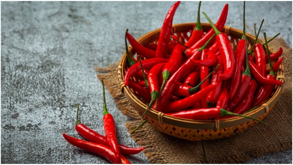 Plenty of Chillies Plenty of Chillies
