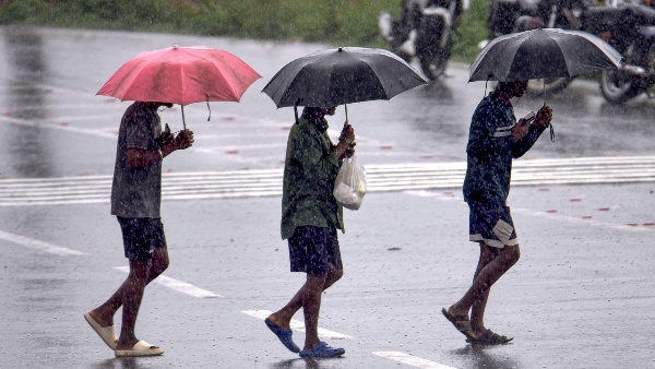 Rain