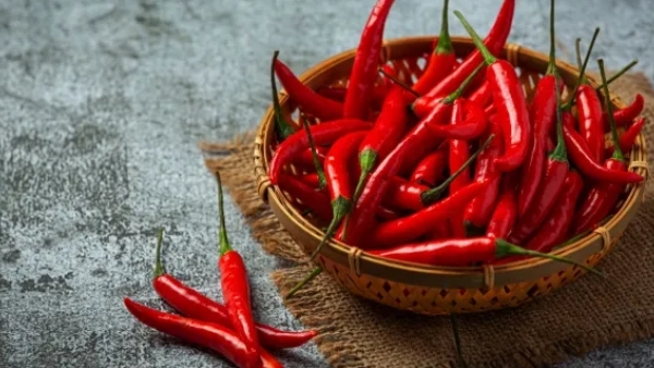 Red Chilli Gardening Tips