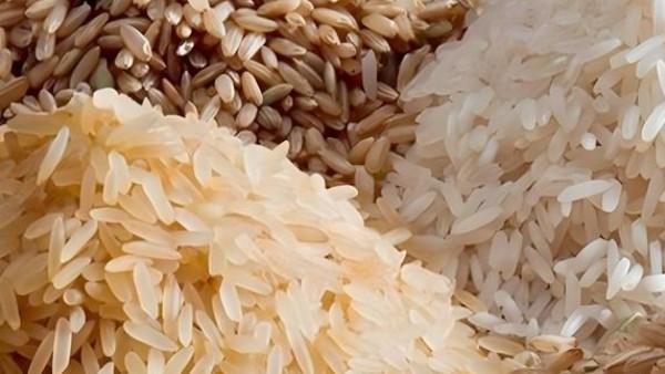 Rice Price
