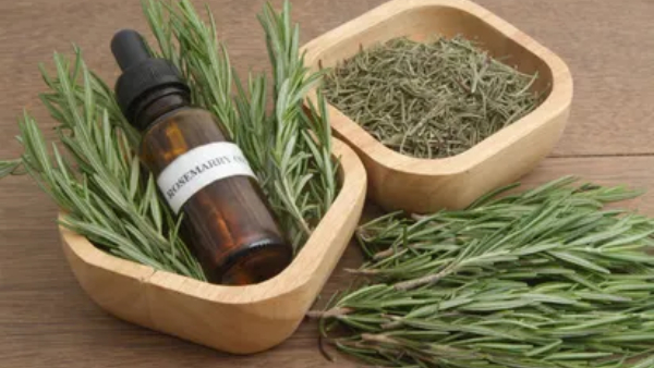 7 Natural Plants