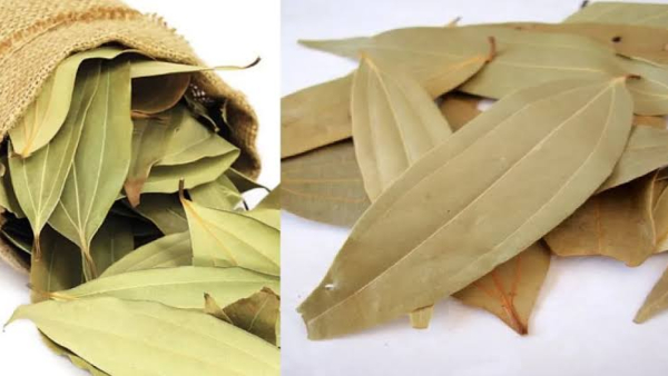 7 Natural Plants