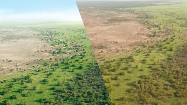 Africa Great Green Wall
