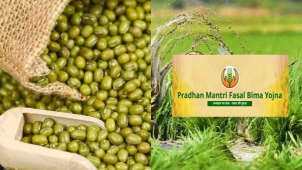 Crop Insurance Rules Crop Insurance Rules