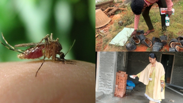 Dengue Cases Dengue Cases