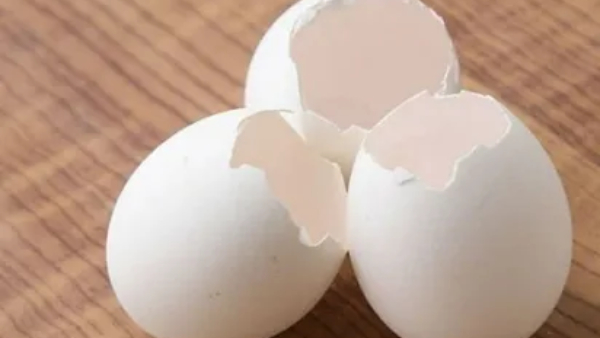 Eggshells