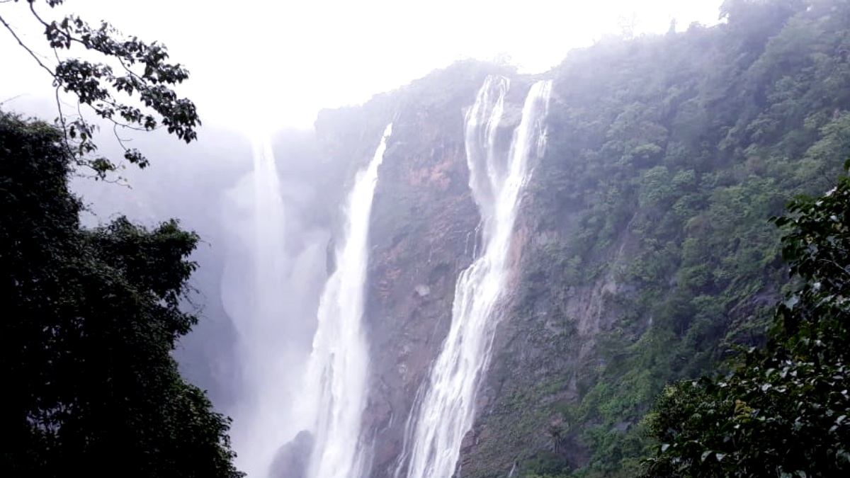 ಮುಂಗಾರು ಚುರುಕು; ಜೋಗ ಜಲಪಾತದ ರಾಜಾ, ರಾಣಿ, ರೋರರ್, ರಾಕೆಟ್‌ಗಳ ಸೌಂದರ್ಯಕ್ಕೆ ಮರುಳಾದ ಪ್ರವಾಸಿಗರು