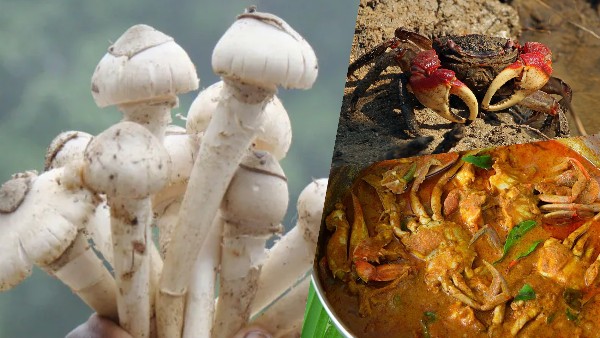 North Karnataka Monsoon Foods North Karnataka Monsoon Foods