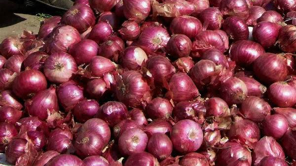 Onion Peel Onion Peel