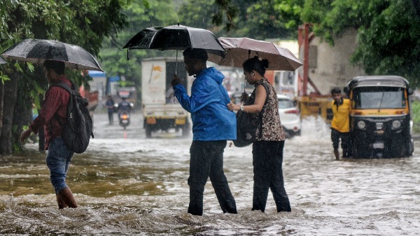 RainFall RainFall