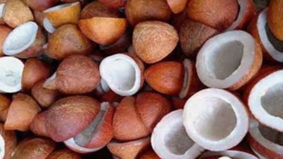 ಕೊಬ್ಬರಿ ಬೆಲೆಯಲ್ಲಿ ದಾಖಲೆಯ ಏರಿಕೆ: ಕ್ವಿಂಟಾಲ್ಗೆ 40,000 ರೂಪಾಯಿ
