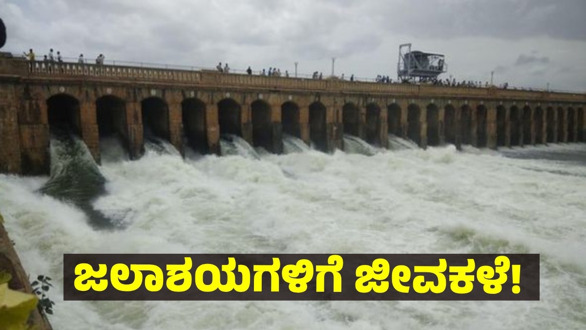 ಕರ್ನಾಟಕದ 13 ಜಲಾಶಯಗಳ ನೀರಿನ ಮಟ್ಟ ಮತ್ತು ಮಳೆ ಮುನ್ಸೂಚನೆ