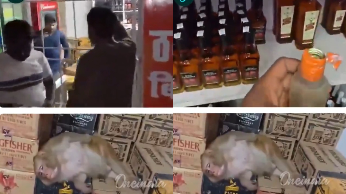Viral Video: ವೈನ್ ಶಾಪ್‌ಗೆ ನುಗ್ಗಿದ ಕೋತಿ! ಜನರ ಮಧ್ಯೆ ಫುಲ್ ಬಾಟಲ್ ಎಣ್ಣೆ ಹೊಡೆದು ಮಾಡಿದ್ದೇನು?