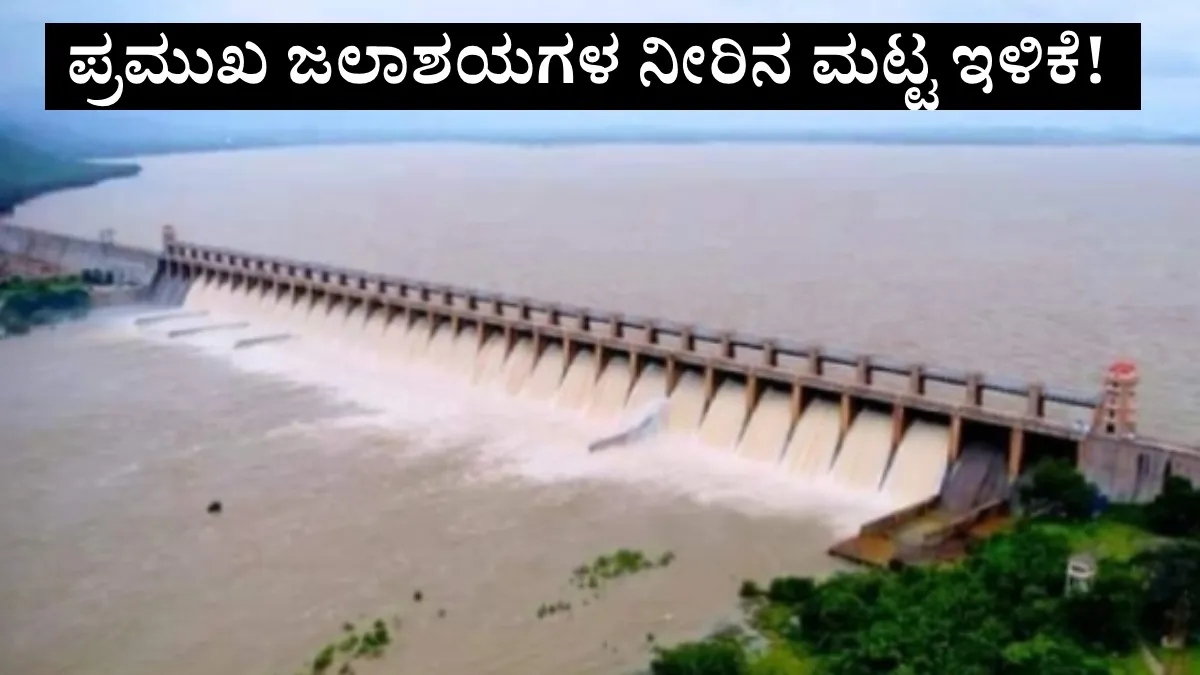 Karnataka Dam Water Level: ಕರ್ನಾಟಕದ 14 ಪ್ರಮುಖ ಜಲಾಶಯಗಳ ಇಂದಿನ ನೀರಿನ ಮಟ್ಟದ ಸಂಪೂರ್ಣ ವಿವರ ಇಲ್ಲಿದೆ