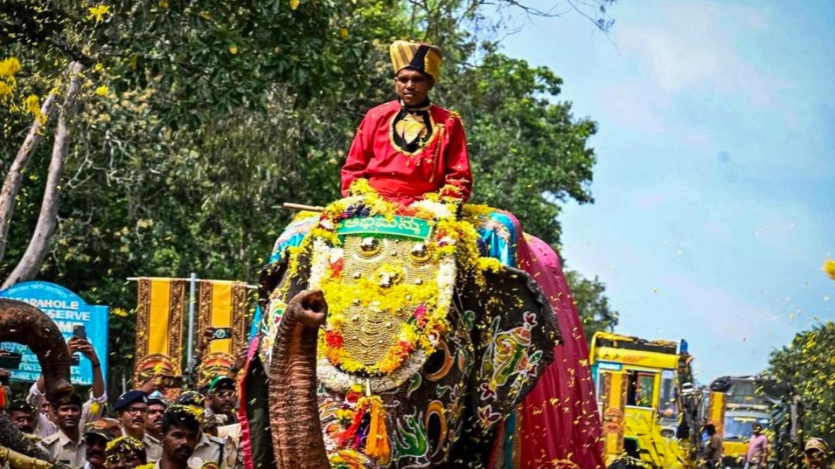 ಮೈಸೂರು ದಸರಾ: ಜಂಬೂಸವಾರಿಯಲ್ಲಿ ಕೊನೆಯ ಬಾರಿಗೆ ಹೆಜ್ಜೆ ಹಾಕಿದ ಕ್ಯಾಪ್ಟನ್ ಅಭಿಮನ್ಯುವಿಗೆ ಭಾವುಕ ವಿದಾಯ