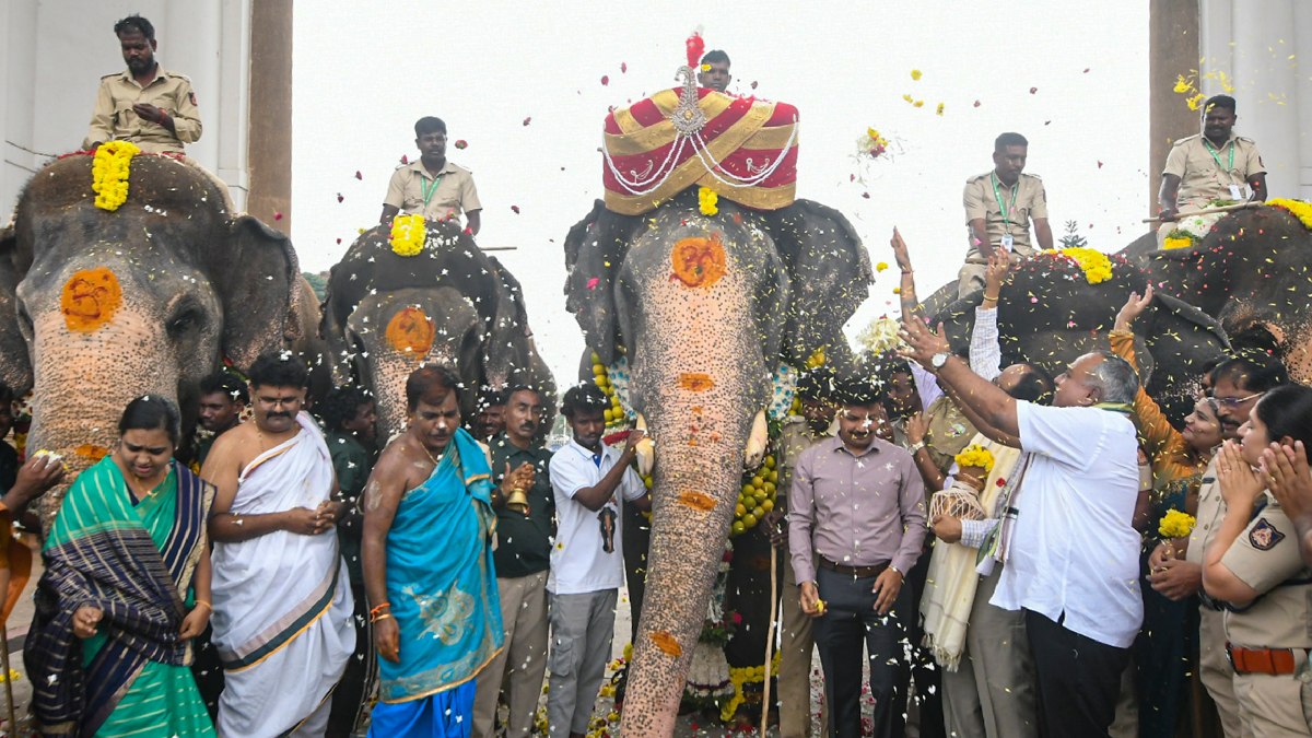 ಮೈಸೂರು ದಸರಾ 2026: ಚಿನ್ನದ ಅಂಬಾರಿ ಹೊರಲಿರುವ ಗಜರಾಜ ಪ್ರಶಾಂತನಿಗೆ ಡಿ.ಕೆ. ಶಿವಕುಮಾರ್ ಮೆಚ್ಚುಗೆ