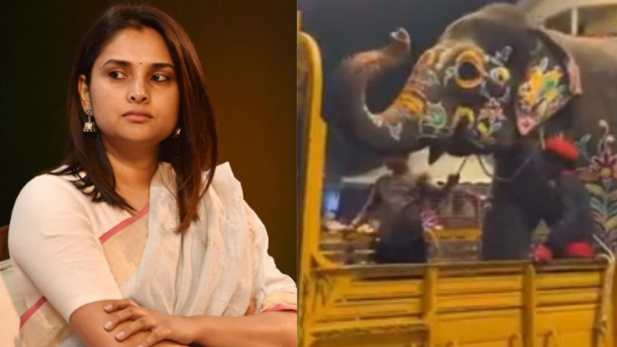 Ramya Divya Spandana: ಮೈಸೂರು ದಸರಾ ಆನೆಗಳ ಬಗ್ಗೆ ಪೋಸ್ಟ್‌ - ವಿಡಿಯೋ ಹಂಚಿಕೊಂಡ ನಟಿ ರಮ್ಯಾ, ಹೇಳಿದ್ದೇನು