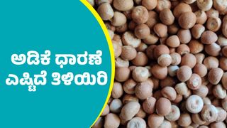 ದಾವಣಗೆರೆ ಮಾರುಕಟ್ಟೆಯಲ್ಲಿ ಕ್ವಿಂಟಾಲ್ ಅಡಿಕೆ ಧಾರಣೆ ಎಷ್ಟಿದೆ? ಇಲ್ಲಿದೆ ಏಪ್ರಿಲ್‌ 27ರ ದರಪಟ್ಟಿ