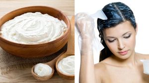 മുടിയുടെ അഴകും ശക്തിയും തിളക്കവും വർധിപ്പിക്കാം വീട്ടിൽ തന്നെ; തൈര് ഉണ്ടെങ്കിൽ എളുപ്പം! എങ്ങനെ?