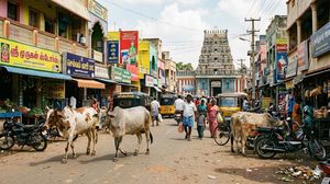 തമിഴ്നാട്ടിൽ ഗോവധ നിരോധനം, പശുക്കളെയോ കിടാങ്ങളെയോ അറക്കരുത്, ഉത്തരവിട്ട് മദ്രാസ് ഹൈക്കോടതി