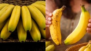 നിങ്ങൾ കഴിക്കുന്നത് വിഷമാണോ?  'കെമിക്കൽ പഴങ്ങളെ' തിരിച്ചറിയാൻ ഇതാ 5 വിദ്യകൾ