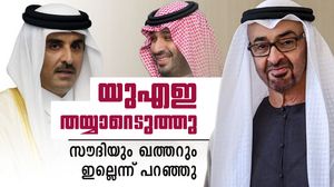 യുഎഇ തിരിച്ചടിക്ക് ഒരുങ്ങി; സൗദി അറേബ്യയും ഖത്തറും ഇല്ലെന്ന് പറഞ്ഞു, അന്ന് സംഭവിച്ചത്‌