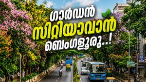 ബെംഗളൂരുവിലെ മൈസൂരു-മഗഡി റോഡ് ഹരിത ഇടനാഴിയാവും; 10 കിമീ ദൂരത്തിൽ 6000 മരങ്ങൾ നടുന്നു..!