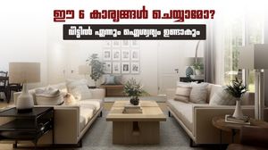 കയ്യിൽ പണം നിൽക്കുന്നില്ലേ? വാസ്തു പ്രകാരം വീട്ടിൽ ഈ 6 മാറ്റങ്ങൾ വരുത്തൂ; സമ്പത്ത് നിങ്ങളെ തേടിയെത്ത