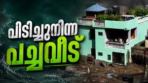 കുത്തിയൊലിച്ച് വന്ന പ്രളയത്തെ അതിജീവിച്ച ഒരു അത്ഭുതവീട്..! ആ പച്ചവീട് വൈറല്‍
