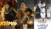 അജീഷിന്റെ കഥ പറഞ്ഞ പൊന്മാൻ, അനിമൽ ട്രയോളജിയിലെ എക്കോ; 2025ലെ മികച്ച ചിത്രങ്ങൾ ഇതാ...
