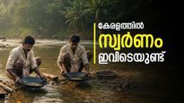 സ്വര്‍ണം ഇഷ്ടംപോലെയുണ്ട്; പക്ഷേ എടുക്കാനാകില്ല, കേരളത്തിലെ 3 ജില്ലകളിലെ നിധി
