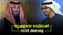 സൗദി അറേബ്യ വന്‍ നീക്കത്തിന്, യുഎഇ ഔട്ട്; ഈജിപ്തും സോമാലിയയും കൂട്ടുചേരും, കൂടെ വമ്പന്മാരും