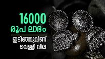 ഒറ്റയടിക്ക് കുറഞ്ഞത് 16000 രൂപ..! റെക്കോഡില്‍ നിന്ന് മൂക്കുകുത്തി വെള്ളി വില, ആവശ്യക്കാരില്ലേ?