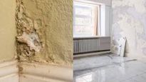indoor damp: വീടിനുള്ളില്‍ രോഗാണുക്കള്‍ ഒളിഞ്ഞിരിക്കുന്ന ഇടങ്ങള്‍; നിങ്ങളെ രോഗിയാക്കാന്‍ ഇതു മതി