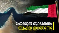 ഹോര്‍മുസ് തുറക്കണം... ബഹുരാഷ്ട്ര സമുദ്രദൗത്യസേനയ്ക്ക് തയ്യാറെന്ന് യുഎസിനോട് യുഎഇ