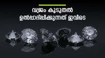  സ്വര്‍ണം അല്ല വജ്രം; കൂടുതല്‍ ഉല്‍പ്പാദിപ്പിക്കുന്ന രാജ്യം ഇതാണ്, വെട്ടിത്തിളങ്ങുന്ന മൂല്യം അതുല്യം