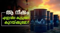 ഒപെകിൽ നിന്ന് പിന്മാറി യുഎഇ; മെയ് ഒന്ന് മുതൽ നടപ്പാവും, വരും മാസങ്ങളിൽ എണ്ണവില കൂടുമോ കുറയുമോ?