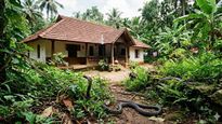 വേനൽക്കാലത്ത് നിങ്ങളുടെ വീട്ടിൽ പാമ്പ് കയറുന്നത് എങ്ങനെ തടയാം? വിദഗ്ദ്ധർ പറയുന്ന വഴികളിതാ