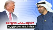 അമേരിക്കക്ക് എട്ടിന്റെ പണി വരുന്നു; യുഎഇ അക്കാര്യം അറിയിച്ചു, ഫെഡ് റിസര്‍വ് അംഗീകരിച്ചേക്കില്ല