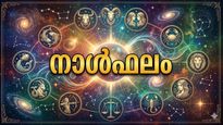 ജോലിയിൽ പ്രമോഷന് തടസ്സം, സ്ഥലം മാറ്റത്തിന് ഉത്തരവ് ലഭിക്കും, സഹോദരനുമായി പിണങ്ങാനിടയുണ്ട്, നാൾഫലം