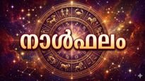 തൊഴിലില്‍ അപ്രതീക്ഷിത മാറ്റം, സർക്കാരുമായി ബന്ധപ്പെട്ട കാര്യങ്ങളിൽ ബുദ്ധിമുട്ട്, നാൾഫലം