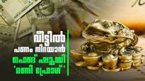 ഈ മൂന്ന് കാലുള്ള തവളയെ വീട്ടിൽ വെക്കൂ; സമ്പത്ത് ഒഴുകിയെത്തും; പക്ഷേ ഈ തെറ്റ് ചെയ്യരുത്!