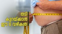 വണ്ണം കുറയ്ക്കാൻ ഏതാണ് ബെസ്റ്റ്? പ്രശസ്ത ഡോക്ടർ പറയുന്ന ഈ 6 വഴികൾ അറിയാം