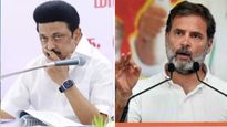 രാഹുലിന് പക്വതയില്ല, പിന്നില്‍ നിന്ന് കുത്തി.. പിണറായിയെ കെട്ടിപ്പിടിക്കാന്‍ ആരെങ്കിലും പറഞ്ഞോ? ഡിഎംകെ