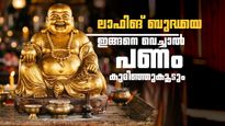 വീട്ടിൽ ഈ സ്ഥലത്ത് ലാഫിങ് ബുദ്ധയെ വെച്ചാൽ പണം ഒഴുകിയെത്തും; പക്ഷേ ഈ അബദ്ധം കാണിക്കരുത്!