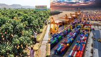 ഇന്ത്യയുടെ മാമ്പഴപ്പെരുമ ഇനി അങ്ങ് യുഎഇയിലും; രേവ സുന്ദർജ മാമ്പഴത്തിന്റെ കയറ്റുമതിയിൽ സുപ്രധാന നേട്ടം