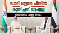യുഎഇയുടെ ആ തീരുമാനം ഇന്ത്യയ്ക്ക് നേട്ടമായി; സൗദി പിന്നില്‍, അപ്രതീക്ഷിത സാന്നിധ്യമായി കസാഖിസ്താന്‍